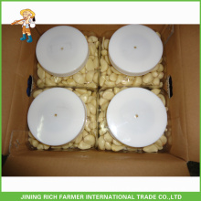 China cheap garlic/natural garlic/fresh garlic/storing peeled garlic for wholesale